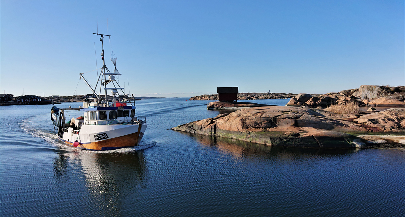 Papperhavn Fiskebaat Kreditering Mayvor Jisland
