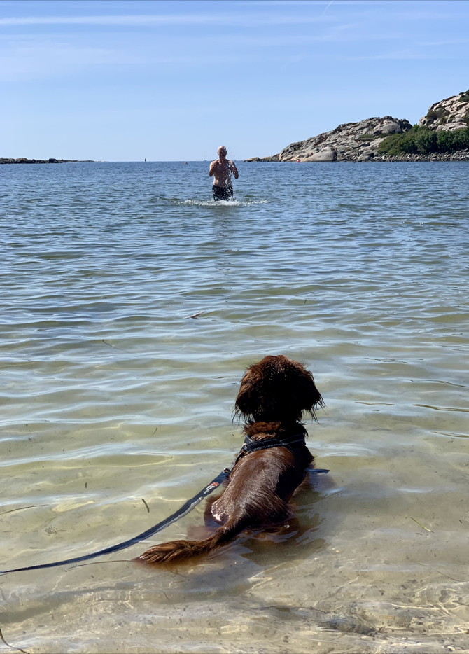 Guttormsvauen Bading Kreditering Hanna Kinn Andersen