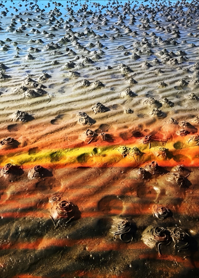 Oerekroken Boerstemark Kreditering Tonny Cathrine Prante