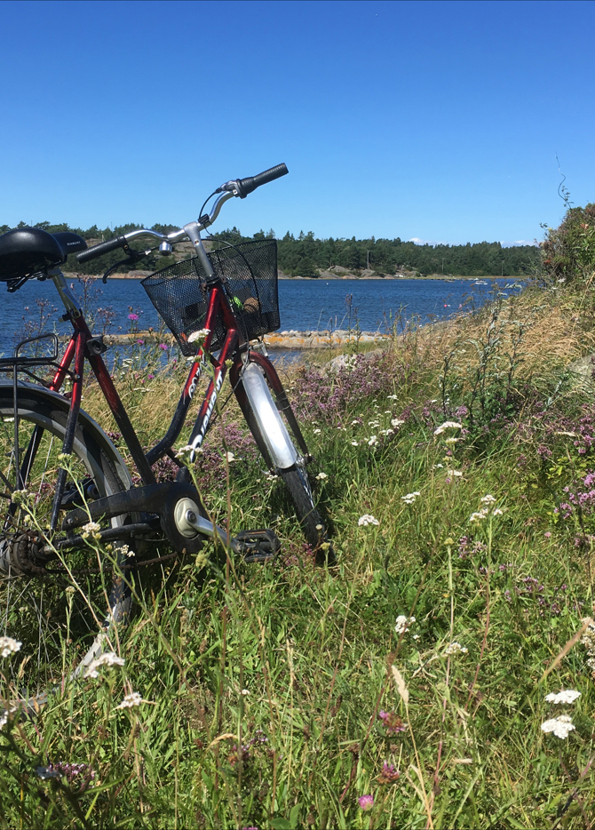Soendre Sandoey Sykkel Blomstereng Kreditering Nina Johansen