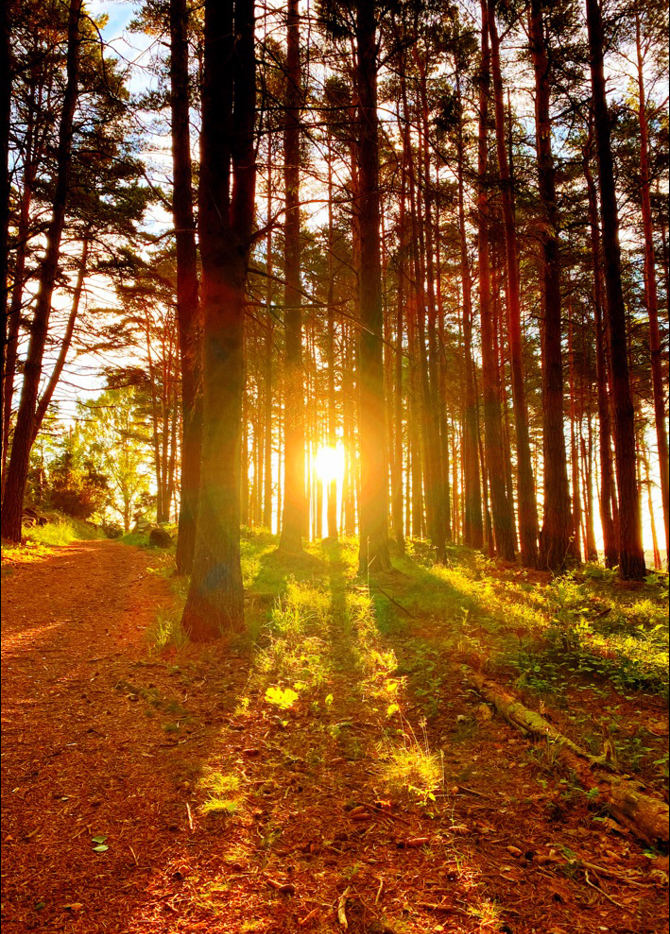 Kjaerlighetsstien Kirkoey Kreditering Tonny Cathrine Prante