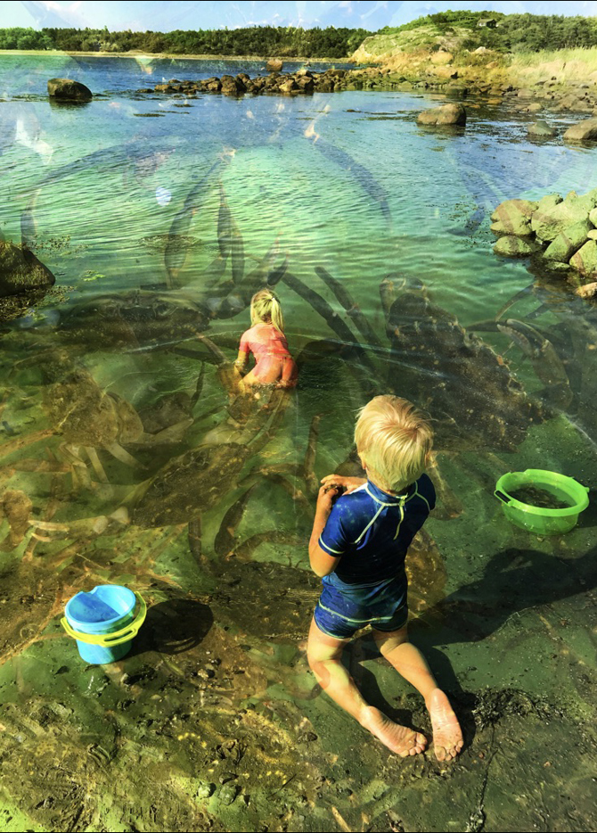 Oerekroken Krabbefiskere Kreditering Tonny Cathrine Prante