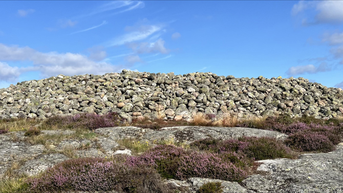 Herfoel Herfoelsaata